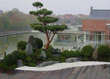 仿真樹市場：發(fā)展現(xiàn)狀與前景展望